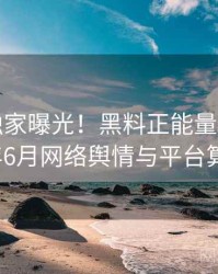 0369. 独家曝光！黑料正能量往期2018年6月网络舆情与平台算法