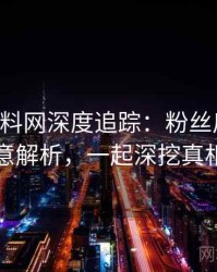 0475. 黑料网深度追踪：粉丝后援会深意解析，一起深挖真相