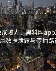 0671. 独家曝光！黑料网app2020年12月数据泄露与传播路径