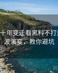 0803. 从十年变迁看黑料不打烊抄袭风波演变，教你避坑