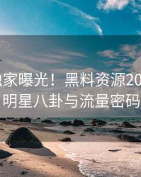 0649. 独家曝光！黑料资源2021年6月明星八卦与流量密码