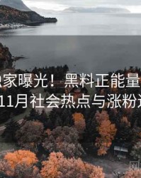 0394. 独家曝光！黑料正能量往期2024年11月社会热点与涨粉逻辑