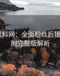 0114. 黑料网：全面粉丝后援会盘点，附完整版解析