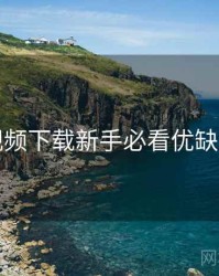 蘑菇视频下载新手必看优缺点评测