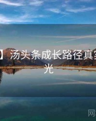 【热搜】汤头条成长路径真实内幕曝光
