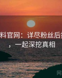 0294. 黑料官网：详尽粉丝后援会盘点，一起深挖真相