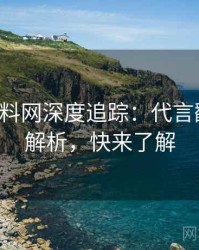 0651. 黑料网深度追踪：代言翻车风险解析，快来了解