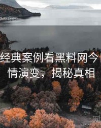 0516. 从经典案例看黑料网今日网络舆情演变，揭秘真相