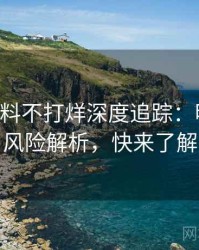 0303. 黑料不打烊深度追踪：明星八卦风险解析，快来了解