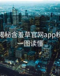 老用户揭秘含羞草官网app粉丝狂欢一图读懂