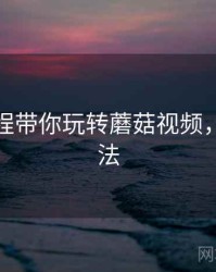 开发历程带你玩转蘑菇视频，全新玩法