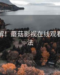 技术拆解！蘑菇影视在线观看隐藏玩法