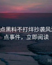 0258. 盘点黑料不打烊抄袭风波十大焦点事件，立即阅读