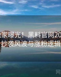 0091. 独家曝光！黑料官网2017年4月抄袭风波与涨粉逻辑