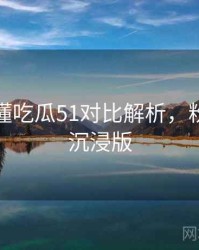 一文读懂吃瓜51对比解析，粉丝文化沉浸版