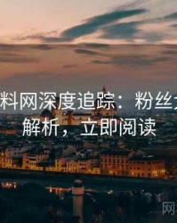 0395. 黑料网深度追踪：粉丝大战深意解析，立即阅读