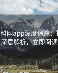 0691. 黑料网app深度追踪：抄袭风波深意解析，立即阅读