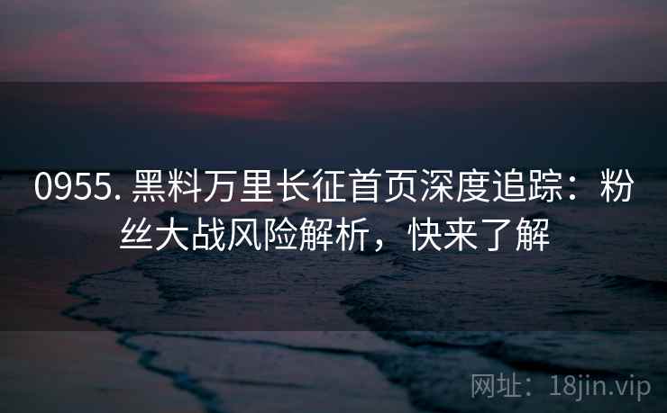 0955. 黑料万里长征首页深度追踪：粉丝大战风险解析，快来了解